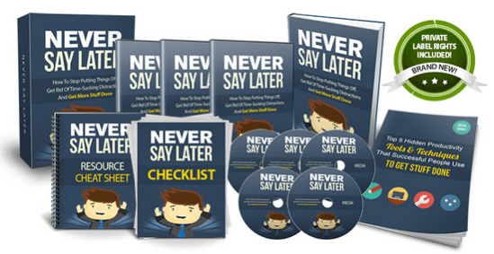 Never Say Later PLR