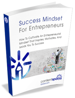 Success Mindset for Entrepreneurs PLR