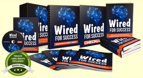Wired For Success PLR