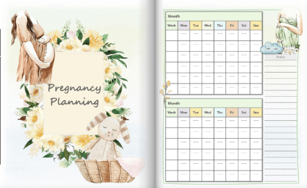 Baby and Me Pregnancy Planner