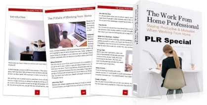 Work From Home Professional PLR