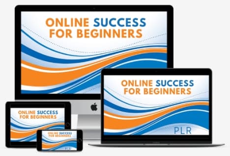 Online Success For Beginners PLR